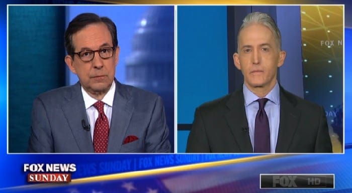 Gowdy Trump innocent
