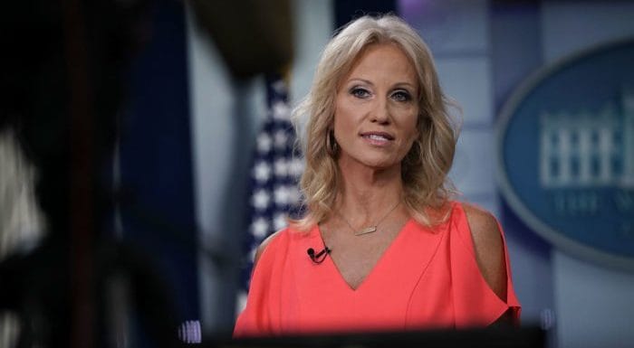 Kellyanne Conway Steele dossier