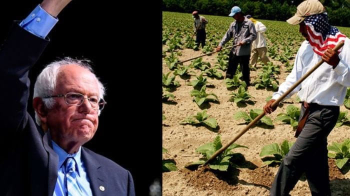 Bernie Sanders