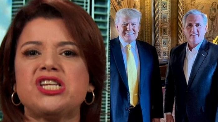 Navarro Trump McCarthy