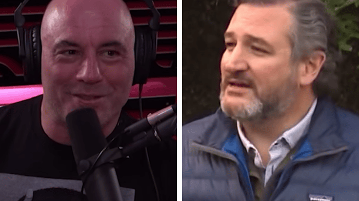 Joe Rogan Asks About Ted Cruz Travel Scandal: ‘Can He Make It Warm Out?’ ‘What Can He Do?’