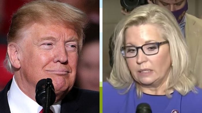 Trump Says He Will Endorse One Of The Challengers To 'Loser RINO' Liz Cheney