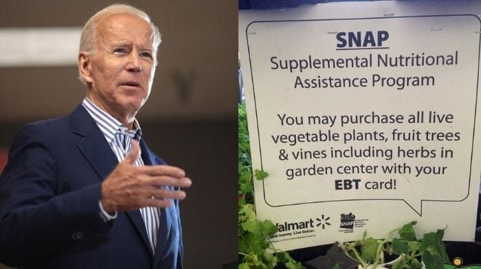 Biden Adm. To Increase Food Stamp Program, Biggest Jump Ever