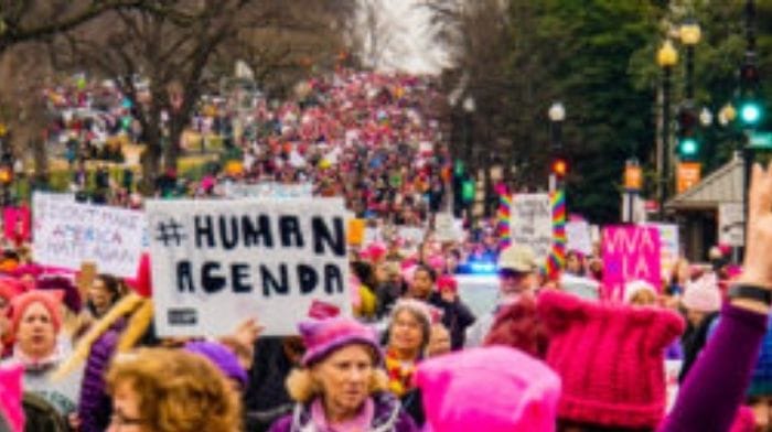 gender studies