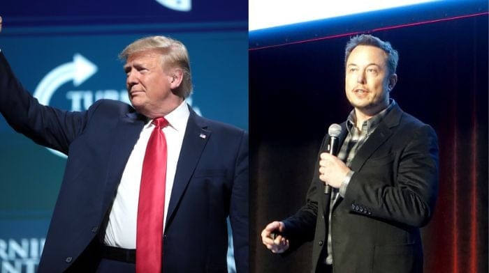 donald trump elon musk