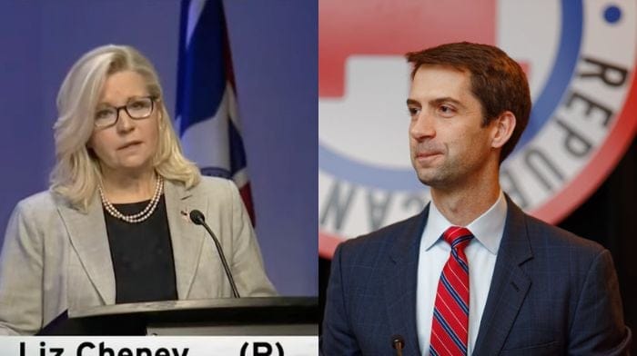 Liz Cheney Gets Testy With Tom Cotton, Who Did The 'Unthinkable': Criticized Jan. 6 Hearings