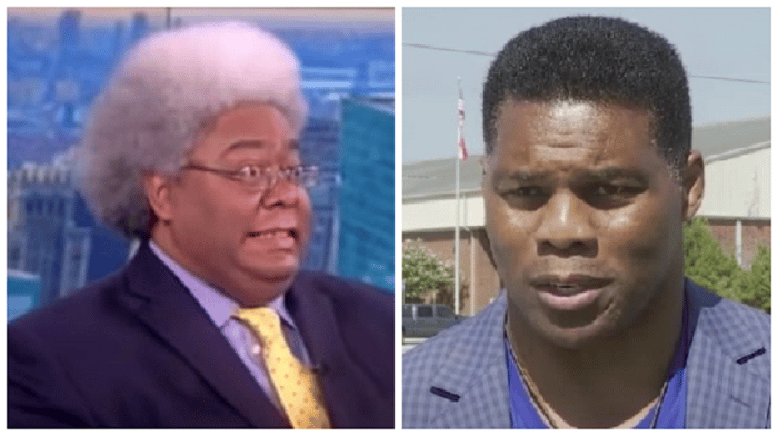 Herschel Walker slammed MSNBC and suggested they "need Jesus" after political pundit Elie Mystal called him "clearly unintelligent" and "what Republicans want from their negroes."