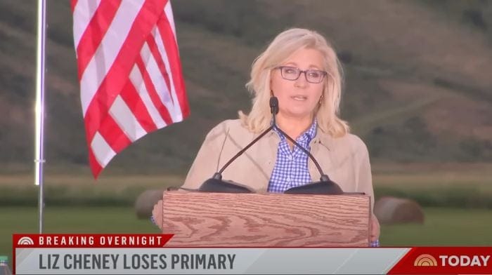 Cheney Gets Crushed By Hageman In WY Primary, Compares Herself To Lincoln In Concession Speech