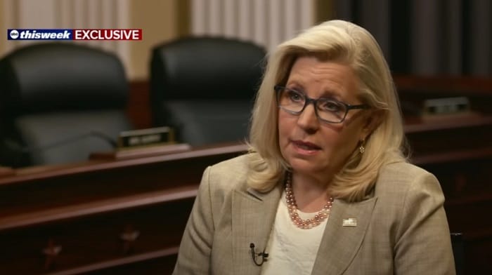 Liz Cheney continued to rip the party she claims to represent suggesting her recent crushing defeat was due to ignorant Republican voters believing lies and "very sick" leadership within her party.