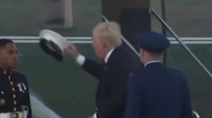 donald trump lion video