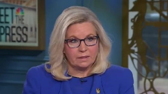 Liz Cheney wouldn't rule out live testimony by Donald Trump following the January 6 select committee's subpoena of the former President, but insisted the highly partisan panel wouldn't allow him to turn the proceedings into a circus.