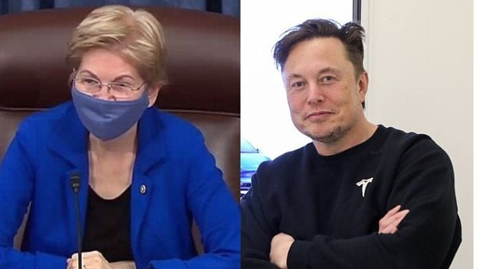 elizabeth warren musk