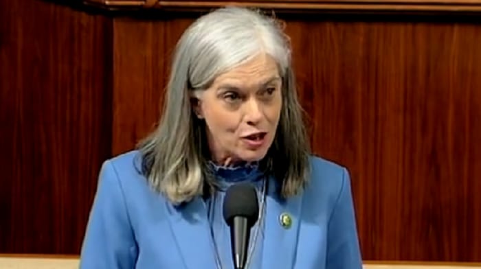 Katherine Clark attacked "MAGA extremists" for cruelty and said the trans community was "being forced to fight for its very existence."