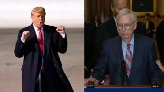 Donald Trump took a jab at Mitch McConnell after hecklers interrupted a speech in Kentucky and called on the Senate Republican leader to retire.