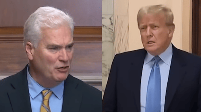 A new report details just how swiftly and brutally presidential candidate Donald Trump sank Tom Emmer's bid for House Speaker.