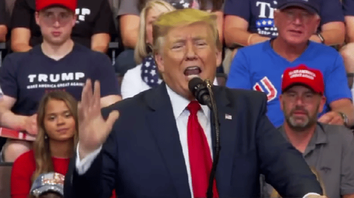 Republican presidential candidate Donald Trump is calling for a return of "mental institutions" to help combat homelessness and provide those suffering from the scourge to return to a normal life.