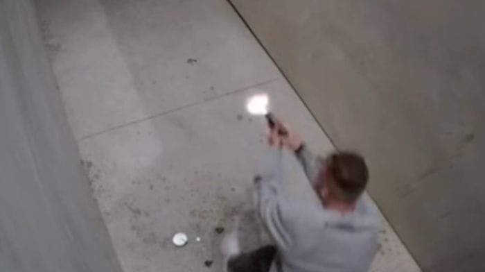 California Gun