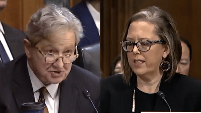 Senator Kennedy stumped Biden judicial nominee Sara E. Hill on the basic legal question regarding the difference between a stay order and an injunction.