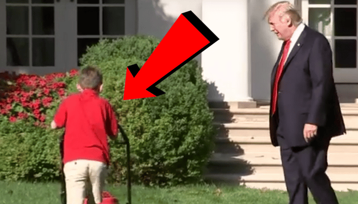 white house lawn