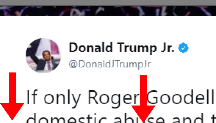 donald trump jr nfl