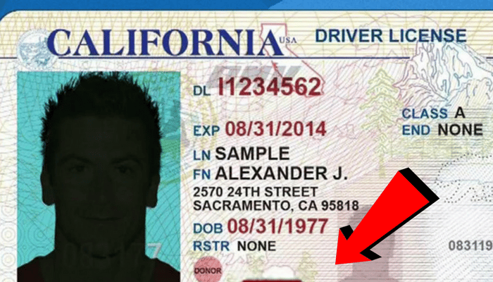 california gender law