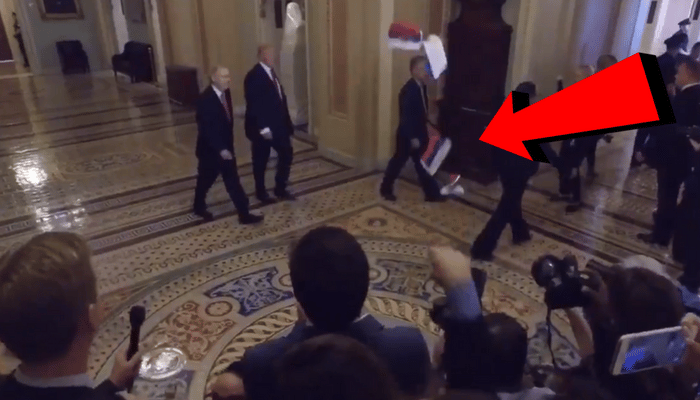 trump protester capitol