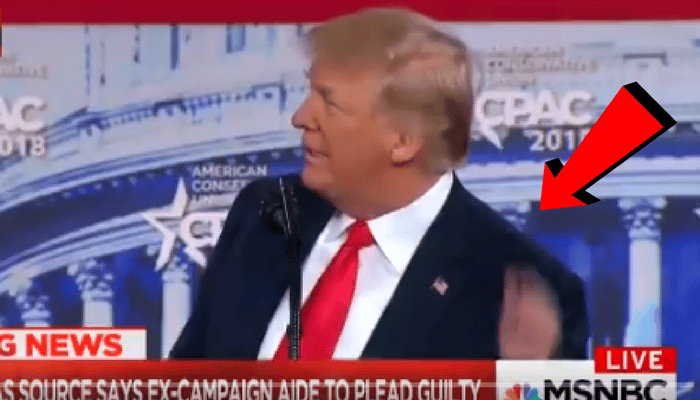 trump bald spot