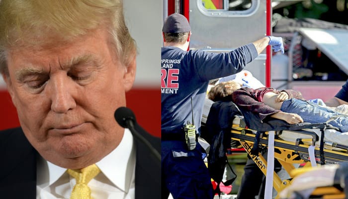 trump gun regulation