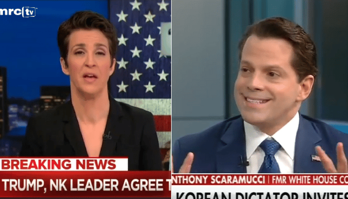 scaramucci maddow