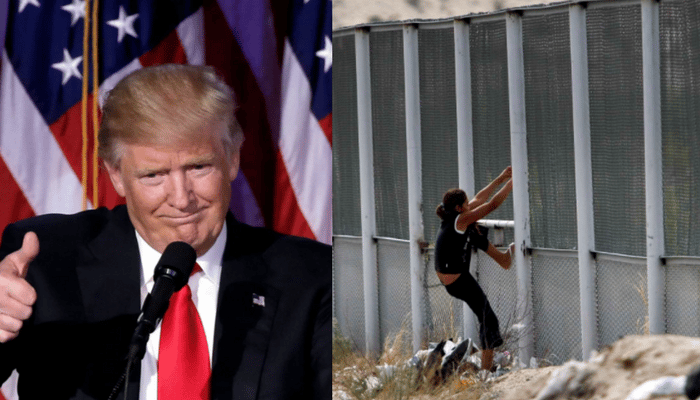 judge rule daca
