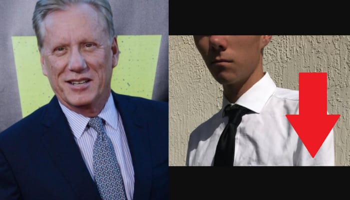 james woods david hogg