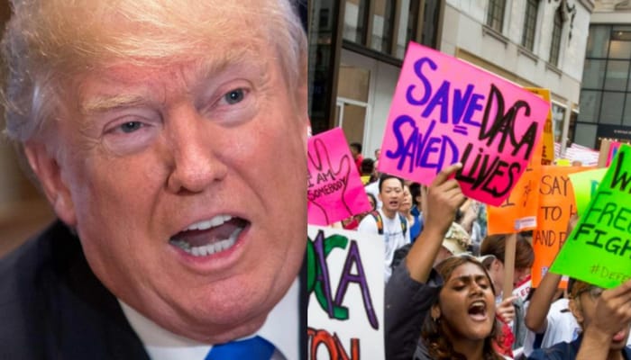 trump no daca deal