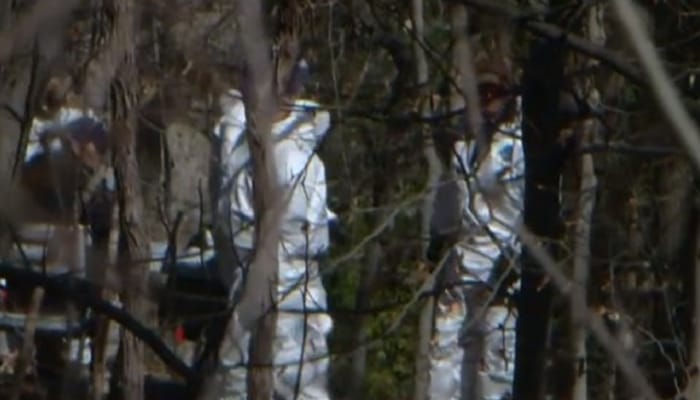fairfax ms-13 charged