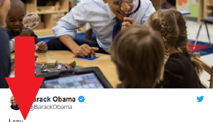 Obama spy