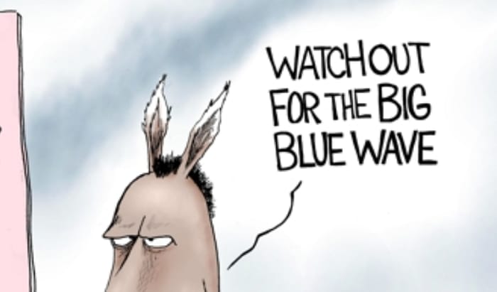 Democratic Party platform cartoon