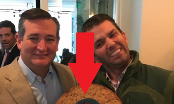 cruz trump obama cake