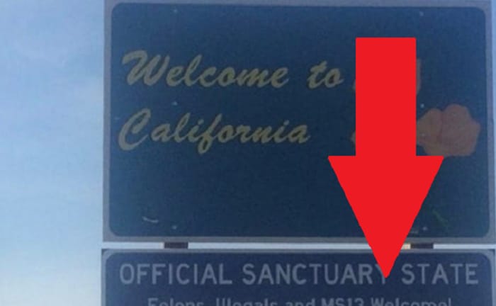 california sanctuary state sign