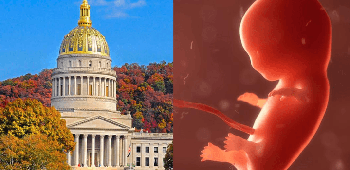 Abortion