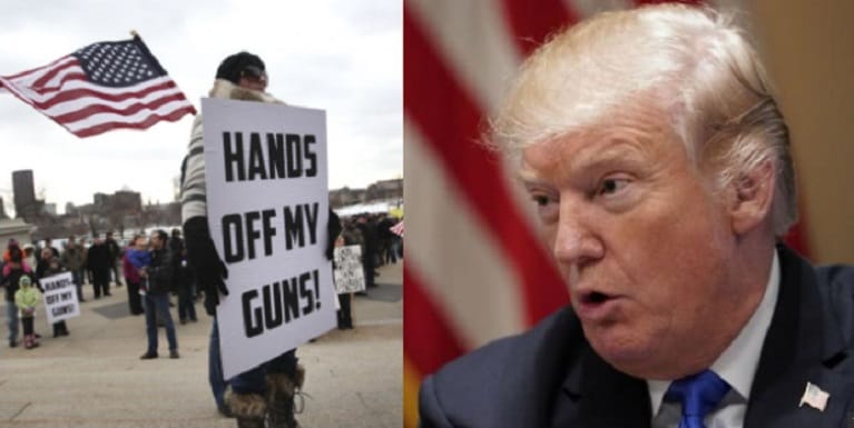 president trump second amendment