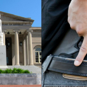 d.c. concealed carry circuit court