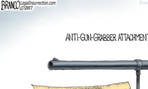gun control constitution