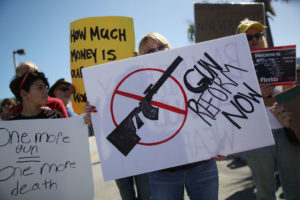 gun control argument