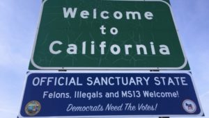california illegals drivers license