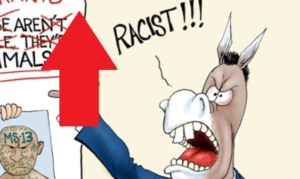 Donald Trump racist