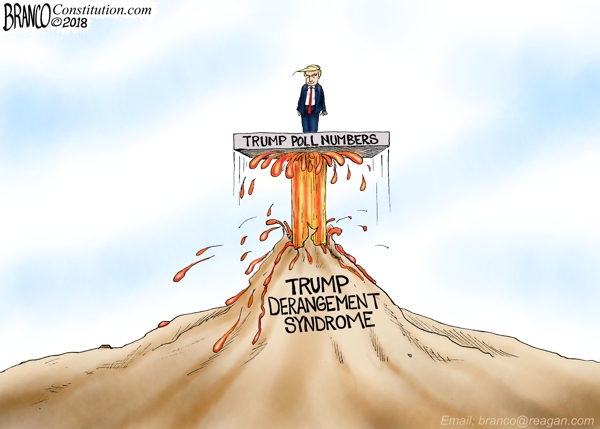 trump-derangement-syndrome-political-cartoon-shows-how-bad-it-is