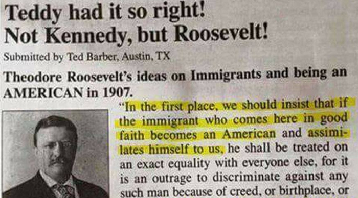 Teddy Roosevelt assimilation