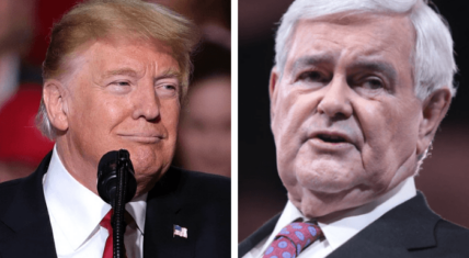 Newt Gingrich Says Trump Will Win Election ‘Dramatically Bigger’ Than Anyone Expects
