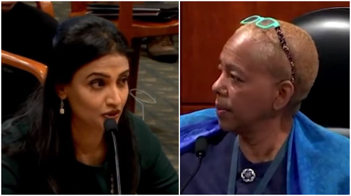 Hima Kolanagireddy, testifying as a witness to alleged election fraud before the Michigan House Oversight Committee, dropped an unhinged Democrat lawmaker who accused her and the rest of the panel of witnesses of being liars.