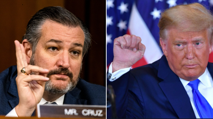 President Trump asked Ted Cruz to argue a case involving a Texas lawsuit before the Supreme Court which seeks to invalidate the election results in battleground states.