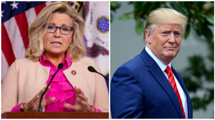 A growing number of GOP lawmakers are calling on Rep. Liz Cheney (R-WY) to resign from her leadership post following her statement indicating she would vote to impeach President Trump.